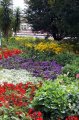 p0001297 Jardines de la Karlsplatz.