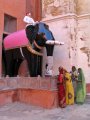 img_1376 El elefante es uno de smbolos ms venerados por los hinduistas