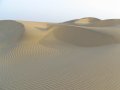 img_1763 Las perfectas dunas de Sam Sands