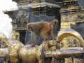 img_3697 