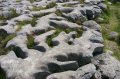 p0002928 Detalle del suelo del Burren, meseta caliza erosionada por el agua y el hielo