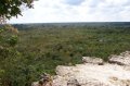 p0002290 A pesar del calor, logramos subir a la cima de la pirmide, desde donde puede contemplarse la selva y, en la zona derecha de la foto, el pico de la pirmide redondeada.