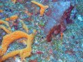img_0261_edited-2 