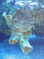 img_0305_edited-1 