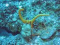 img_0306_edited-1 