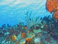 img_0311_edited-1 