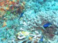 img_0319 