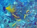 img_0339_edited-3 