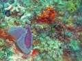 img_0356_edited-2 