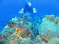 img_0359_edited-1 