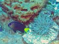img_0362_edited-2 