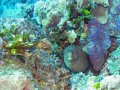 img_0365_edited-1 