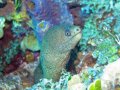 img_0366_edited-2 