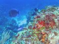 img_0383_edited-2 
