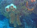 img_0386_edited-2 