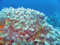 img_0394_edited-1 
