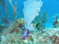 img_0111-1_edited-1 
