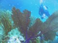 img_0122-1_edited-1 