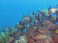 img_0127-1_edited-1 