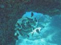 img_0166_edited-1 