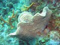 img_0181_edited-1 