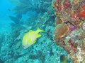 img_0185_edited-1 