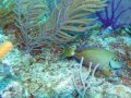 img_0816_edited-1 