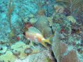 img_0819_edited-2 