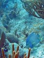 img_0839_edited-2 