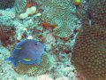 img_0846_edited-1 