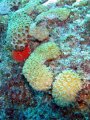 img_0858_edited-2 