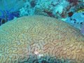 img_0879_edited-2 