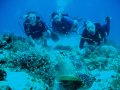buceo-10 Ya en el mar, en una inmersin llamada 