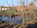 viaje-hotel-15 La vegetacin de la selva se vi muy afectada por el huracn. No qued ni una hoja en su sitio. Es de esperar que en pocos meses recupere su habitual verdor