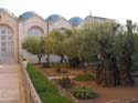 Huerto de Gethsemani 