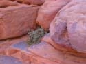 The Petra sand is red, blue, purple, etc 