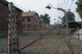 auschwitz-05 Las alambradas del Campo de Concentracin de Auschwitz