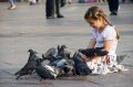 cracovia-08 Una nia juega con palomas de la Plaza del Mercado de Cracovia