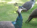 img_0213 