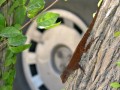img_0743 