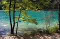 plitvice-26 El agua es tan transparente (y fra) que propicia este bonito tono azul turquesa.
