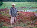 img_8693 Campesino en los campos de Viales