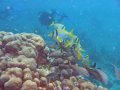 img_0192_edited-1 
