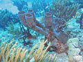 img_0883_edited-1 