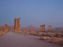 Las mejores fotos de las ruinas de Palmira se obtienen durante el amanecer, por ello, a las 6 de la maana ya nos encontrabamos en ellas