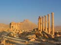 Las ruinas de Palmira
