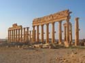 Ruinas de Palmira
