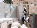Mujeres de todas las edades y jovenes estudiantes parecen ser los mas afectados por la barbarie de este muro sin sentido