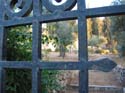 Monte de los Olivos