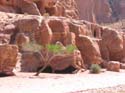 Petra